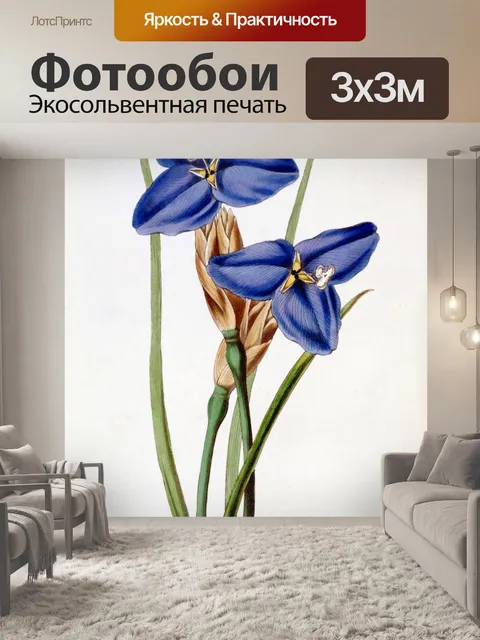 Фотообои Цветок синий винтажное искусство