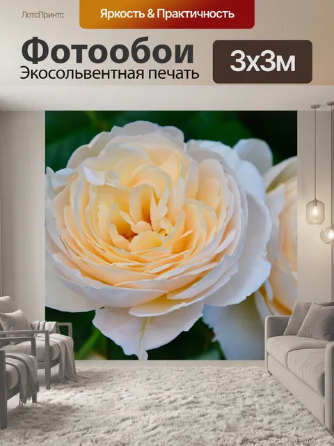 Фотообои Розы