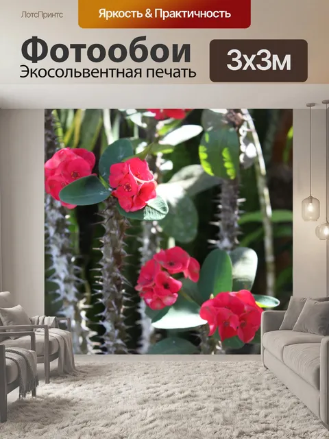 Фотообои красные цветы с шипами