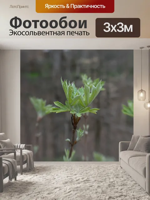 Фотообои Дубовая гортензия