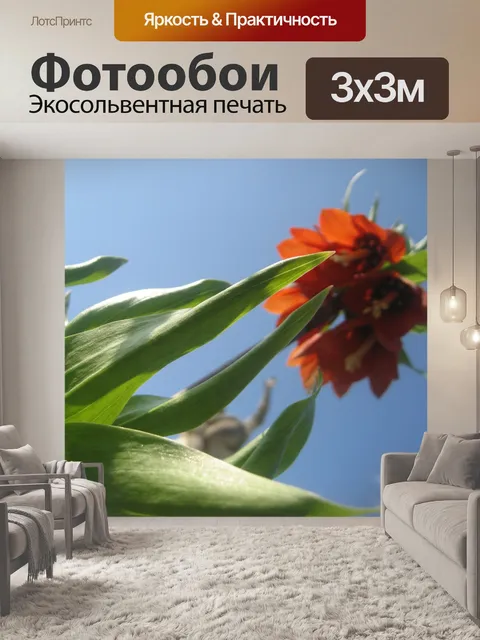 Фотообои Тянется к небу