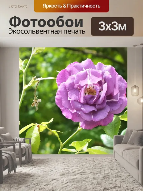 Фотообои Розы