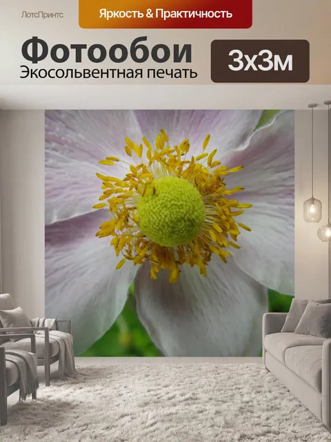 Фотообои Цветок