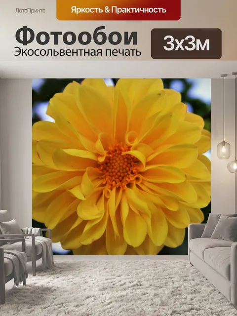 Фотообои желтые георгины