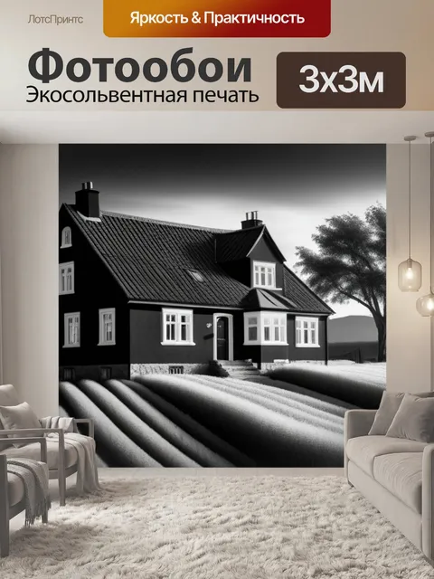 Фотообои яркий пейзаж с домом чернобелый
