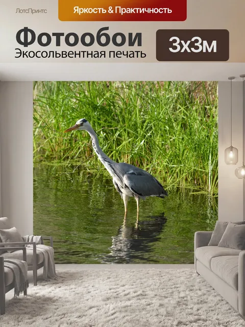 Фотообои Поймать рыбу 3