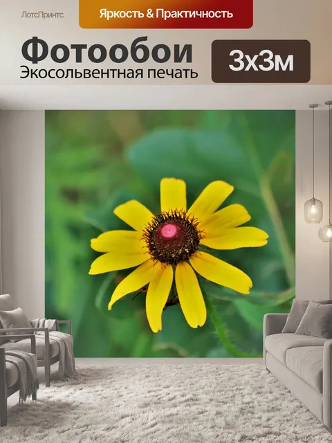 Фотообои Желтый цветок рудбекия