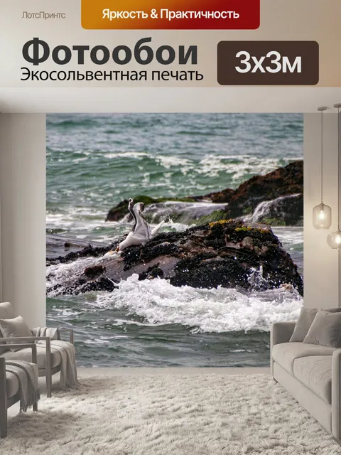 Фотообои чайка