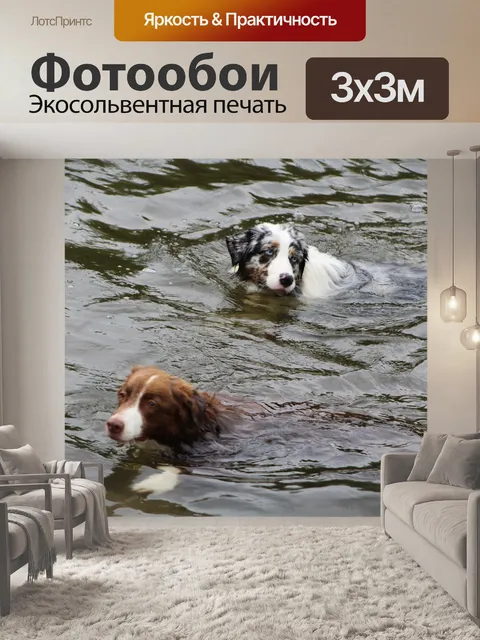 Фотообои Собаки