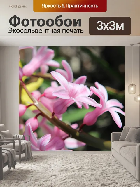 Фотообои Гиацинты