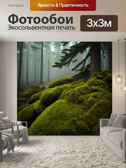 Фотообои древний еловый лес, завуаленный туманом, который стелится по мшистым валунам