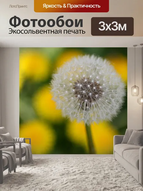 Фотообои Одуванчик