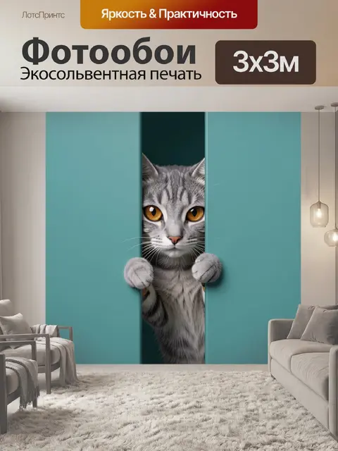Фотообои Любопытный серый кот выглядывает