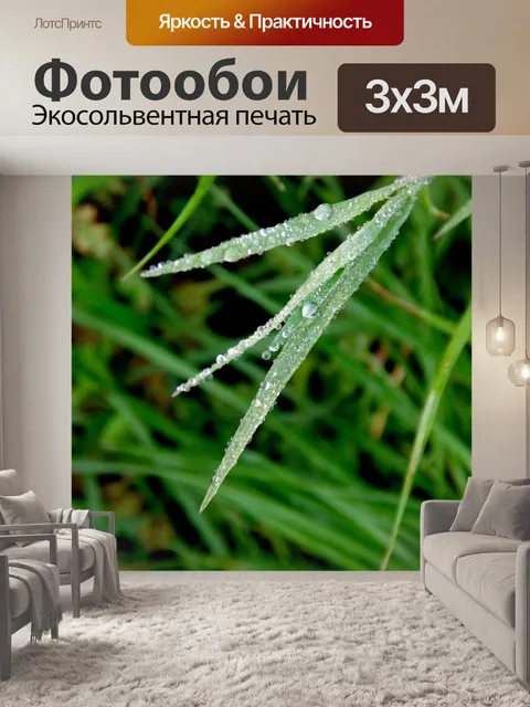 Фотообои Серебряные капли росы на высокой траве