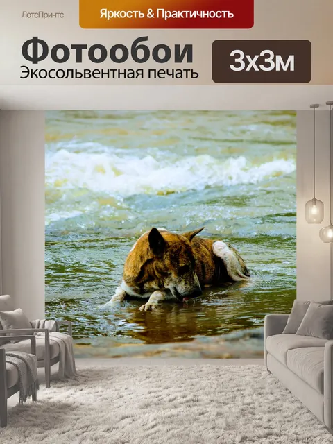 Фотообои Жаждущий