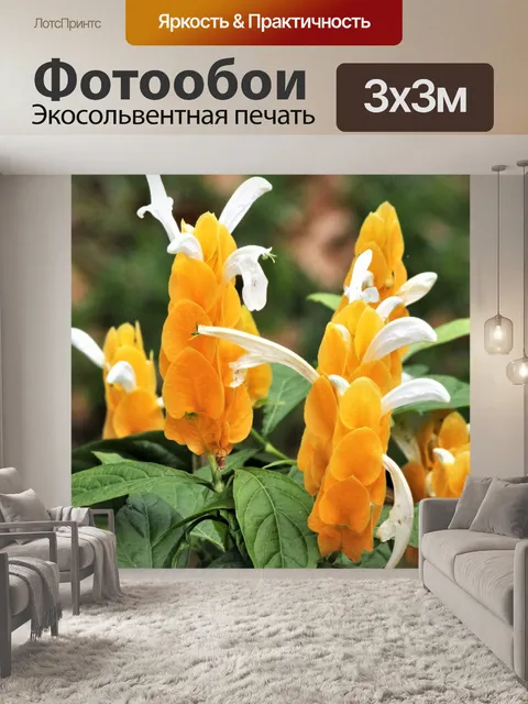Фотообои Желтые леденцы цветы крупным планом