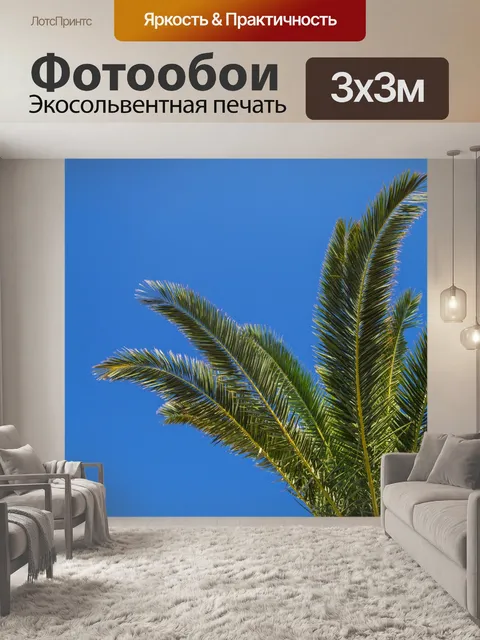 Фотообои пальма и голубое небо