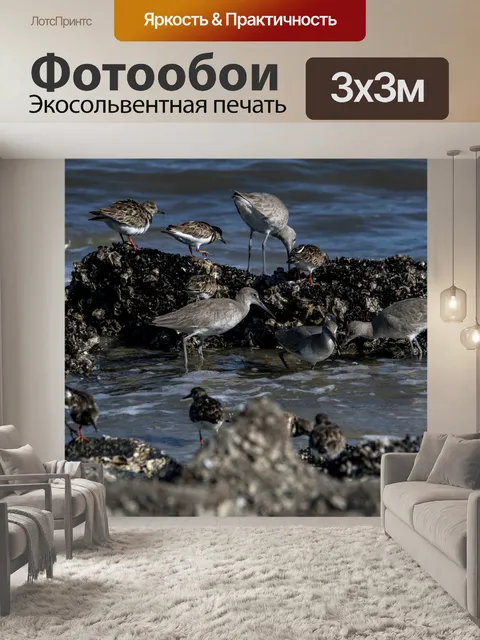 Фотообои Куликов