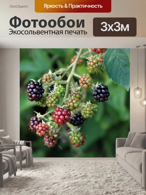 Фотообои Ягоды