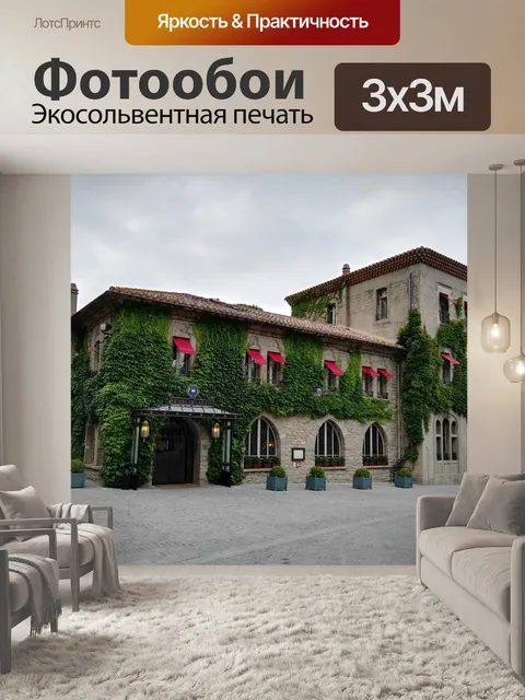 Фотообои Каркассон