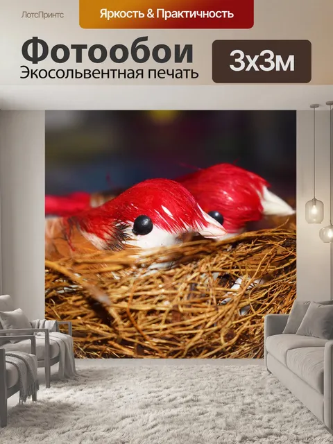 Фотообои Птицы