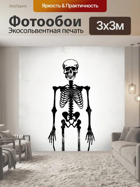 Фотообои минималистичное изображение скелета