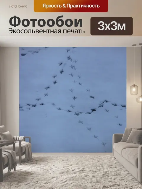 Фотообои Птица треки