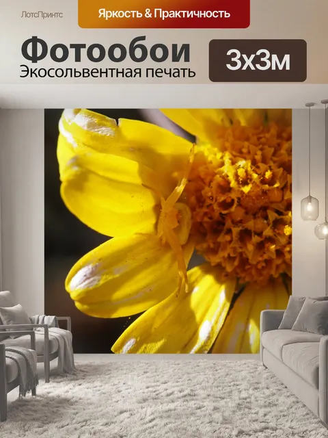 Фотообои желтый краб цветок паук сидит