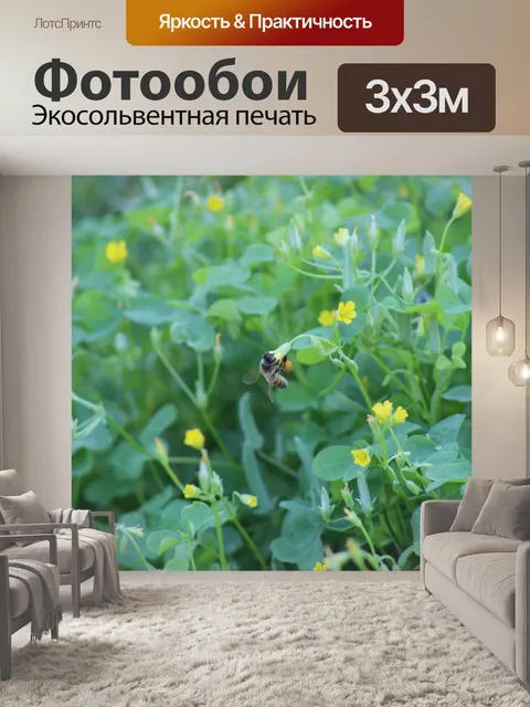 Фотообои Мистер Кловер Пчелиная Пыльца
