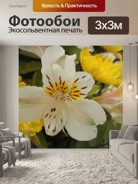 Фотообои цветок 1
