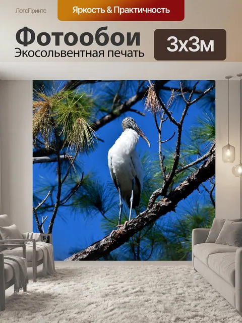 Фотообои Деревянный аист
