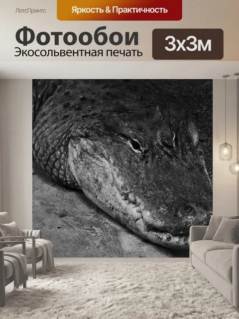 Фотообои Крокодил