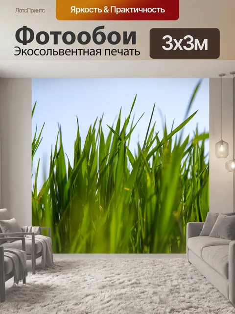 Фотообои Зеленая трава