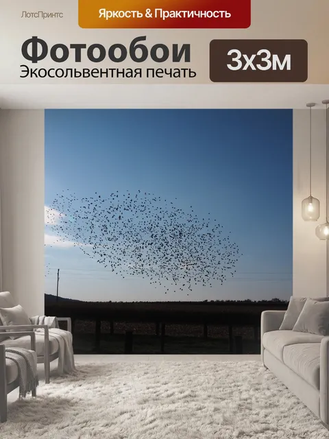 Фотообои Птицы