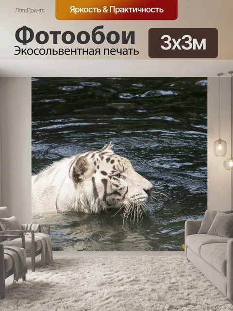 Фотообои белый тигр