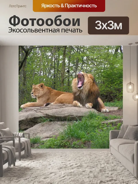 Фотообои Лев