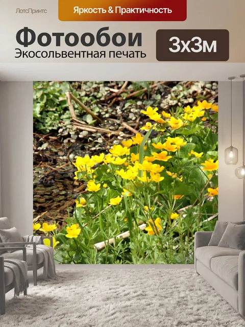 Фотообои Бархатцы болотные