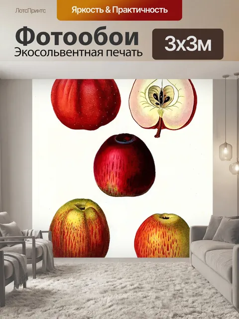 Фотообои Яблоко