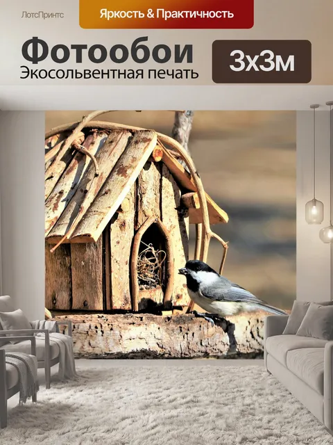 Фотообои Chickadee and Bird House
