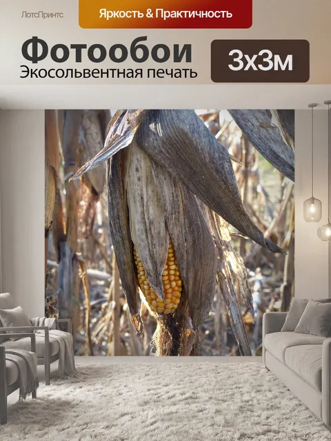 Фотообои Кукуруза