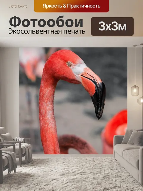 Фотообои Фламинго