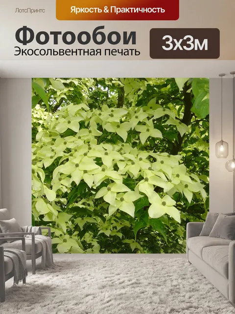 Фотообои Дерево