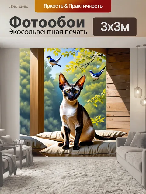 Фотообои на уютном террасе с мягкими подушками, ориентальная короткошерстная кошка внимательно наблюдает за пением птиц