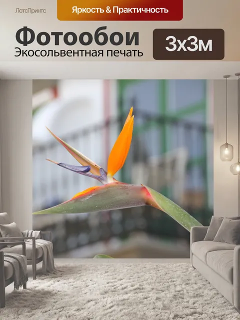 Фотообои Цветок