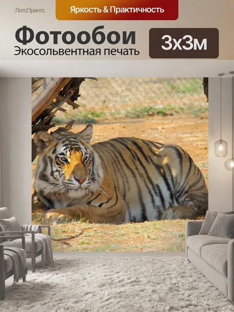 Фотообои Тигр