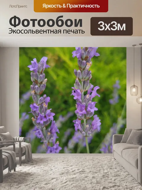 Фотообои Лаванда