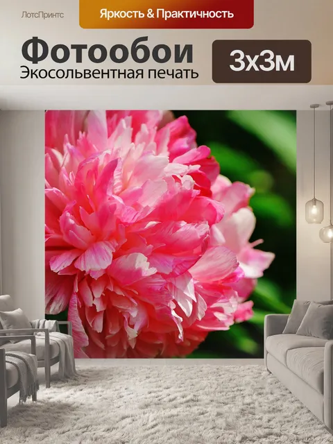 Фотообои Пион