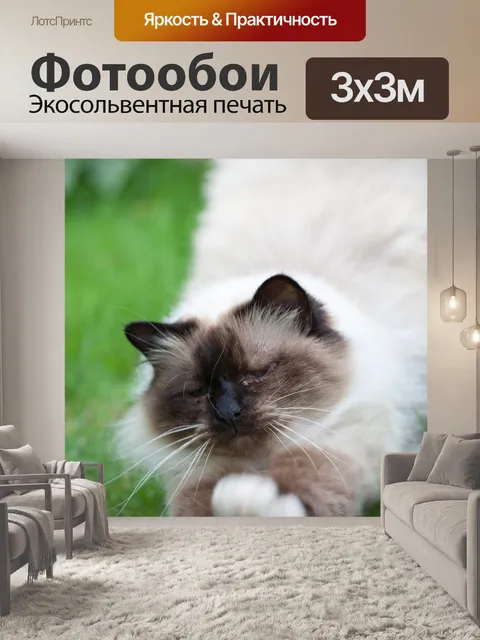 Фотообои Кошка стрейч
