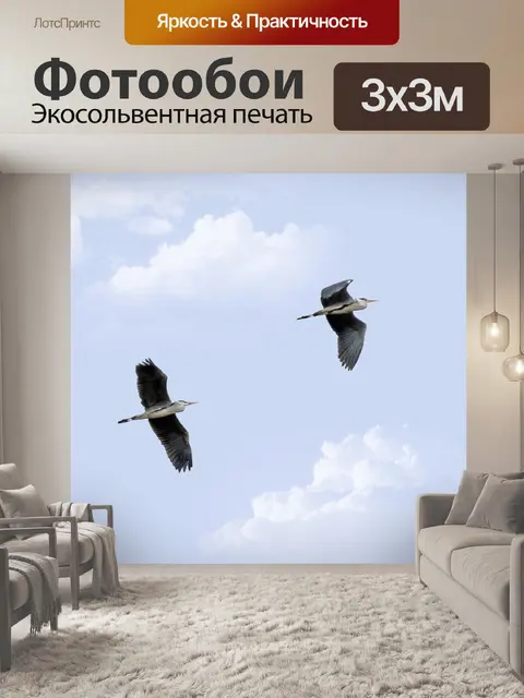 Фотообои Цапли