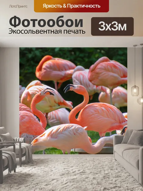 Фотообои Фламинго
